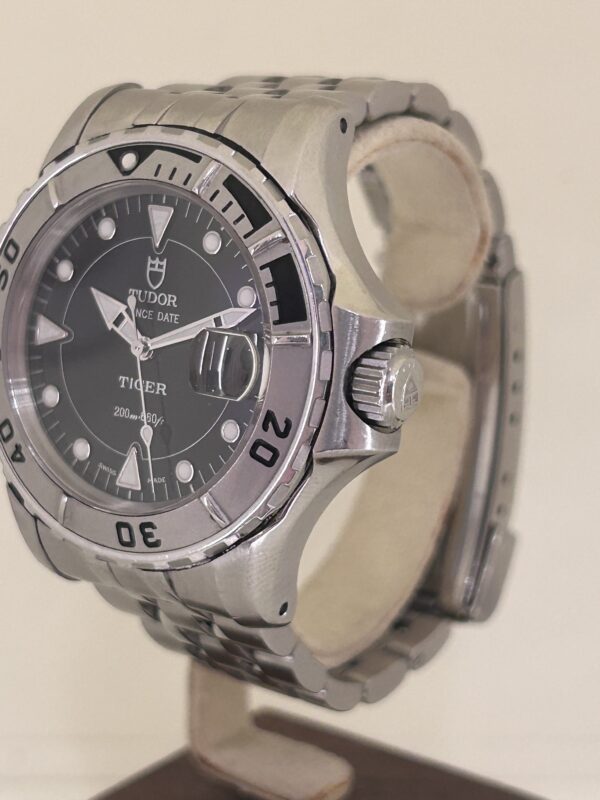 IMG_3928 Tudor hydronaut