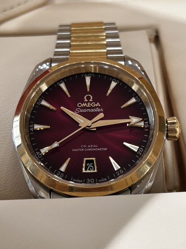 IMG_5961 Omega Seamaster Aqua Terra
