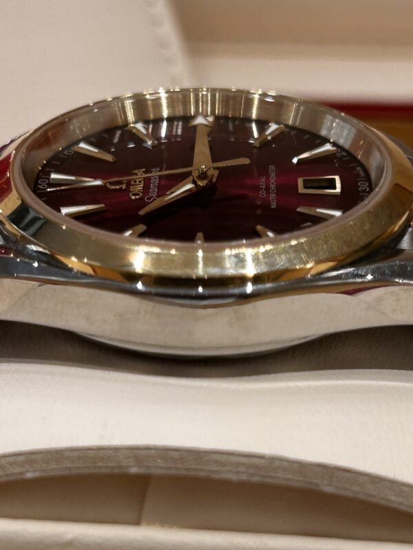 IMG_5962 Omega Seamaster Aqua Terra
