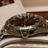 IMG_5963 Omega Seamaster Aqua Terra