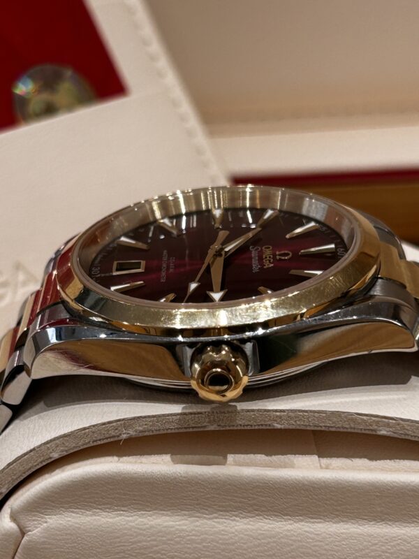 IMG_5963 Omega Seamaster Aqua Terra