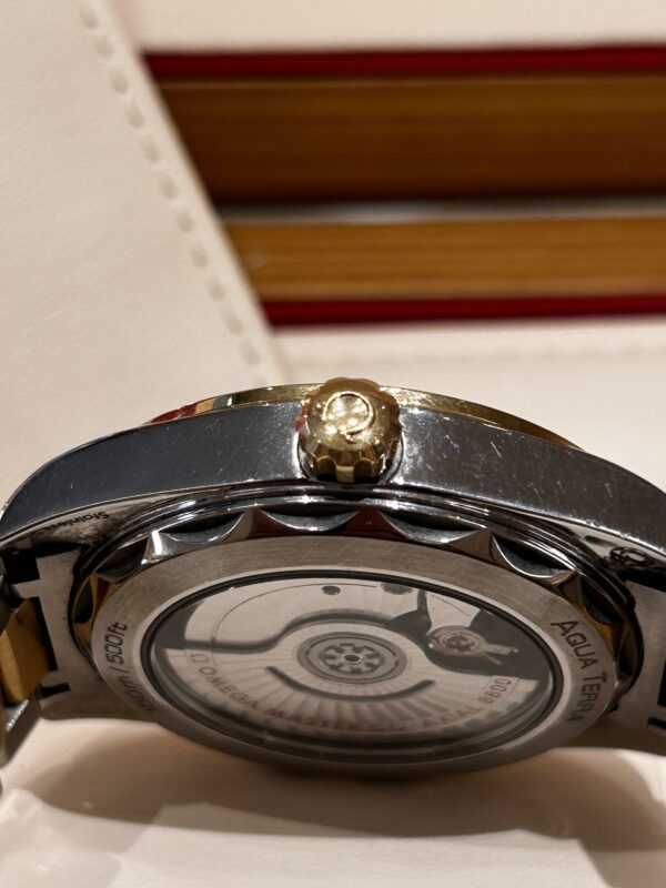 IMG_5965 Omega Seamaster Aqua Terra